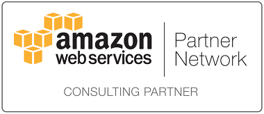 View dbSeer, an Expert Business Analytics Consulting Company, earns Amazon Web Services Standard Consulting Partner Status Post