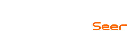 dbSeer Logo Light