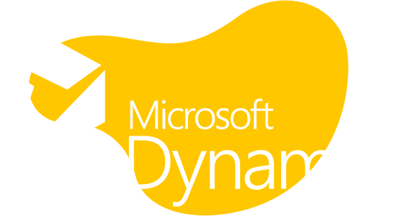 dbSeer Microsoft Dynamics Advanced Reporting