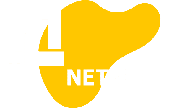 dbSeer NetSuite Advanced Reporting